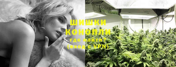 ГАЛЛЮЦИНОГЕННЫЕ ГРИБЫ Абинск