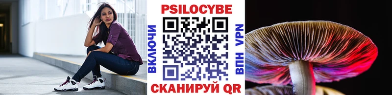 Псилоцибиновые грибы Psilocybe  как найти закладки  Елизаветинская 