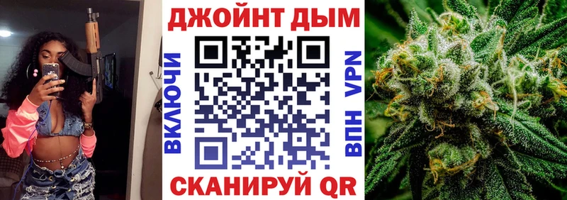 Конопля планчик  Елизаветинская 